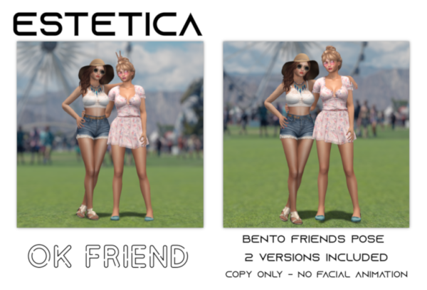 estetica ok friend 768x521.png
